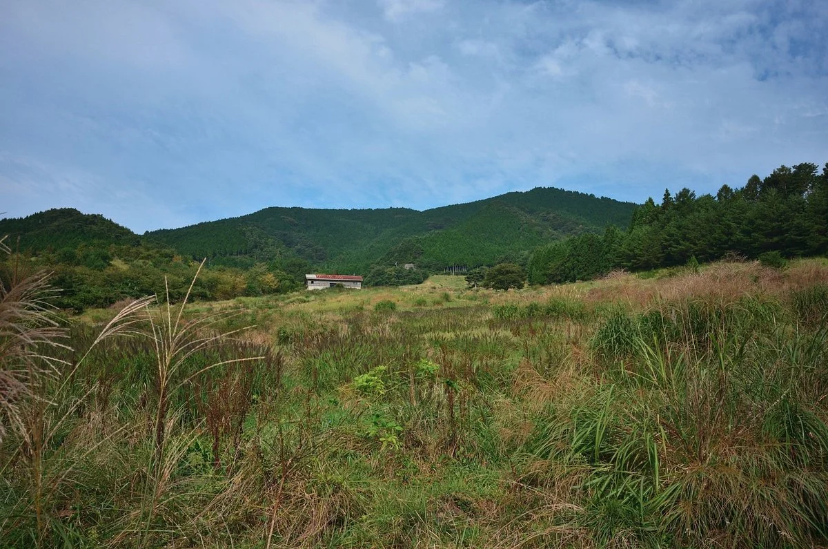 Daigasen