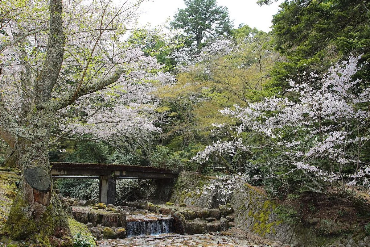 Omoto Park