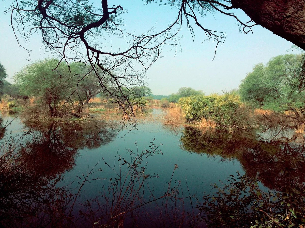Keoladeo National Park