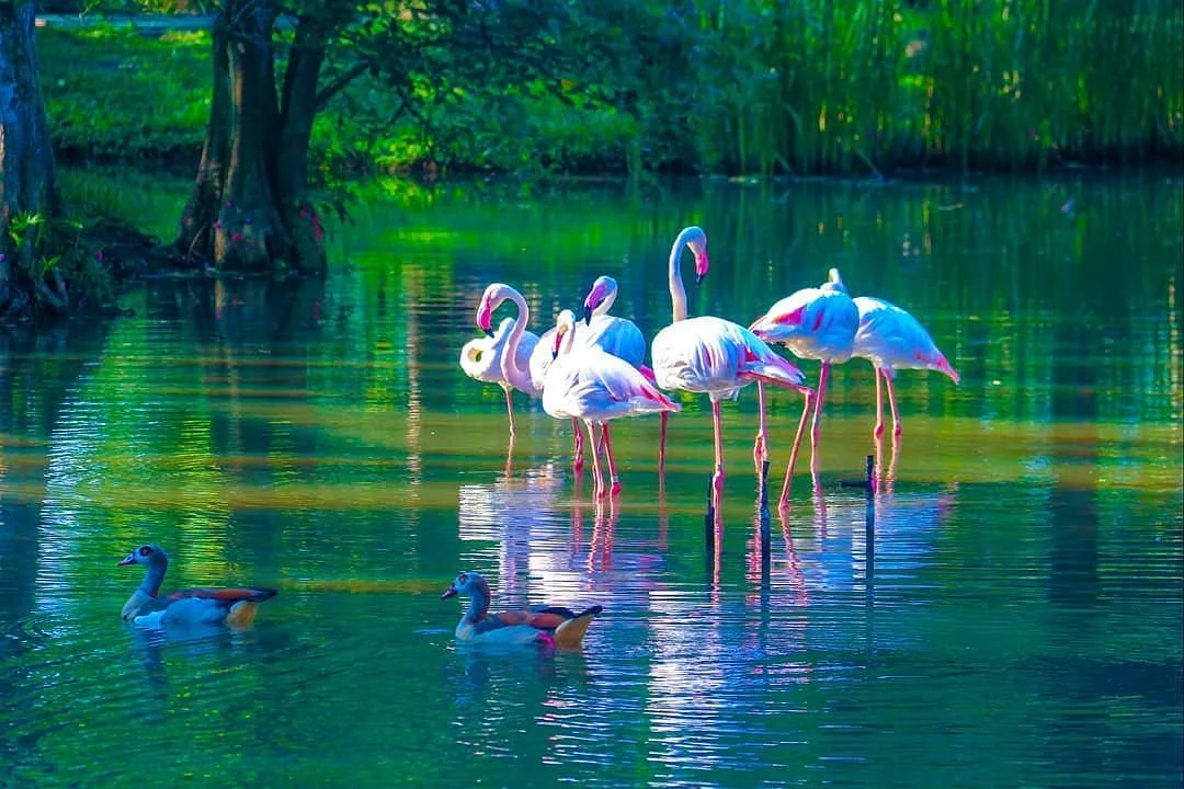 Putrajaya Wetlands Park