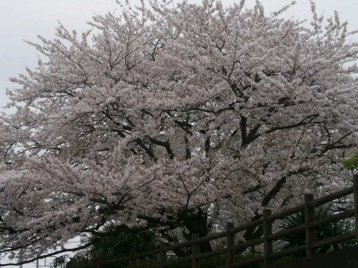Urayasu Sports Park