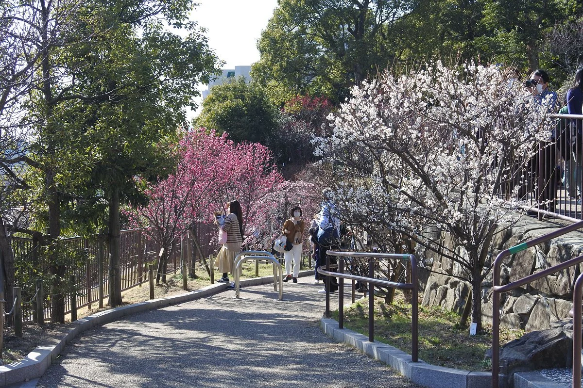 Okamoto Bairin Park