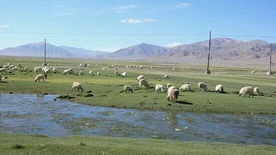 Nakqu Marsh