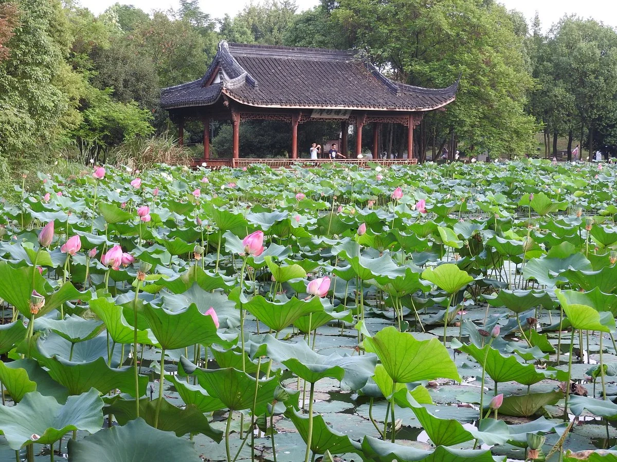 Shaoxing Dongbai Montain