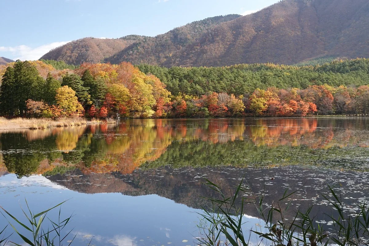 Kannonnuma Forest Park