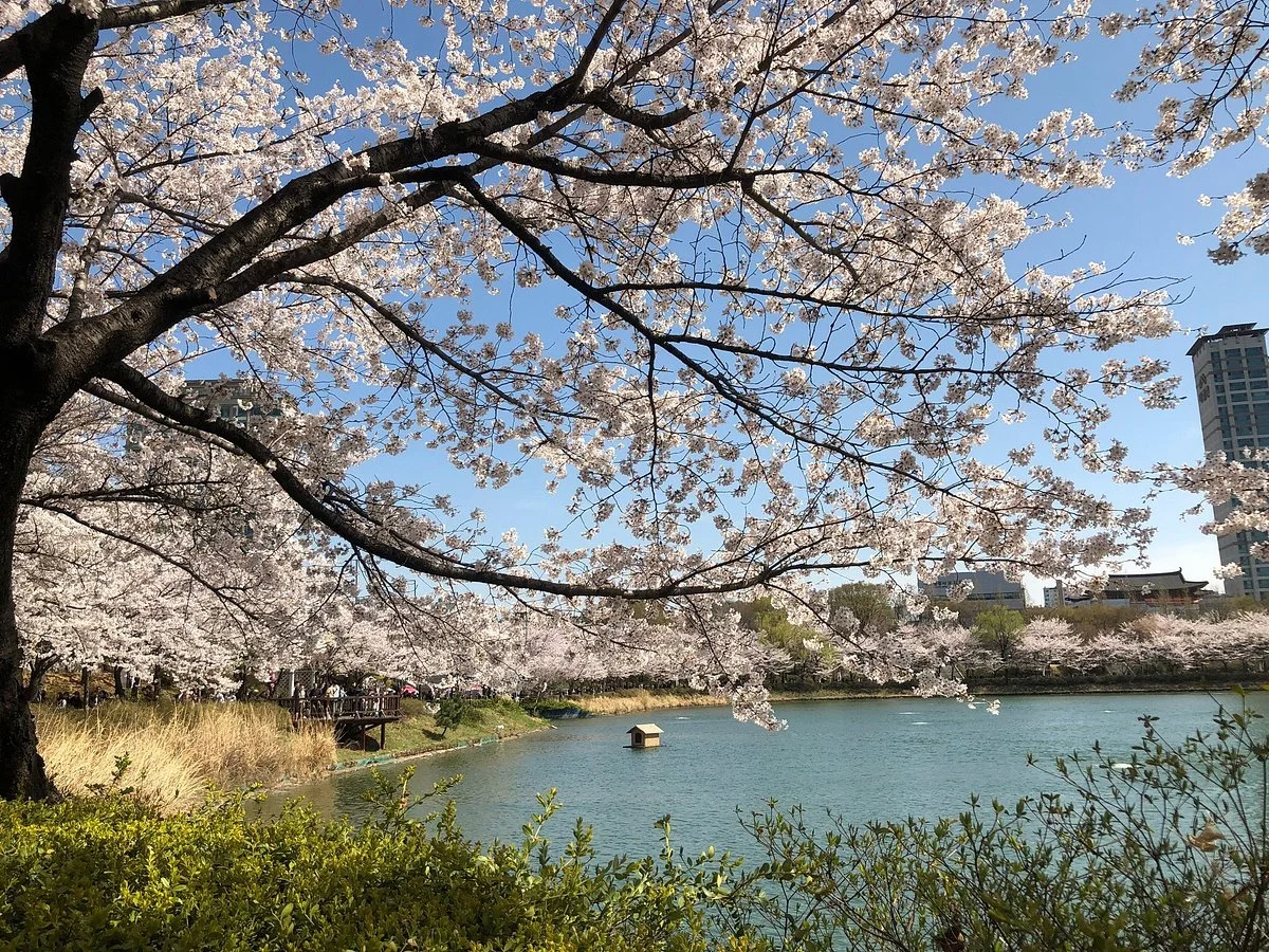 Songpa Naru Park