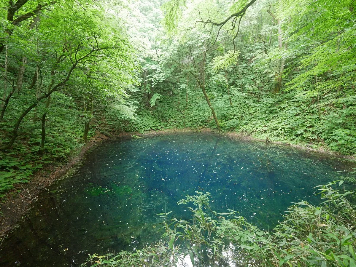 Blue Pond