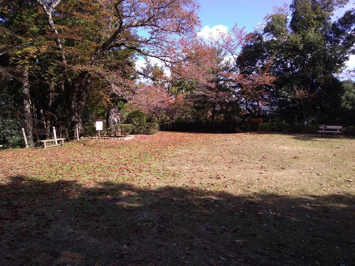 Soil Stage
