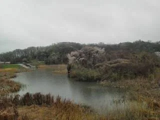 Tempaku Park