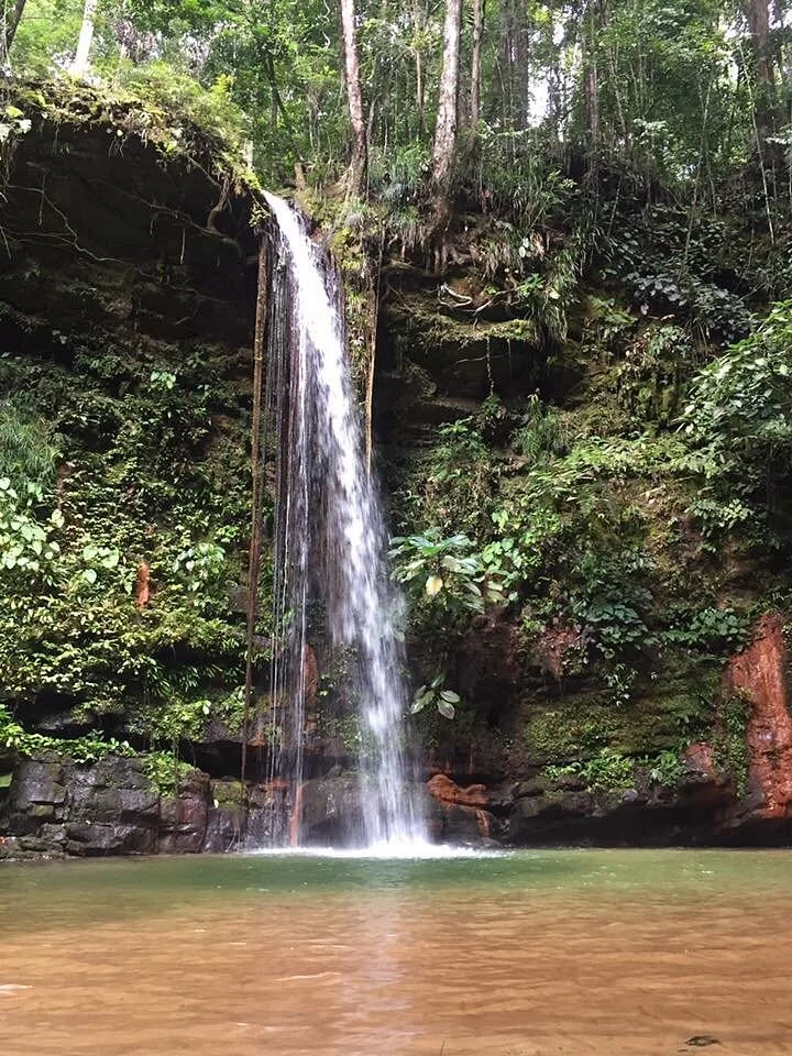 Lambir Hills National Park