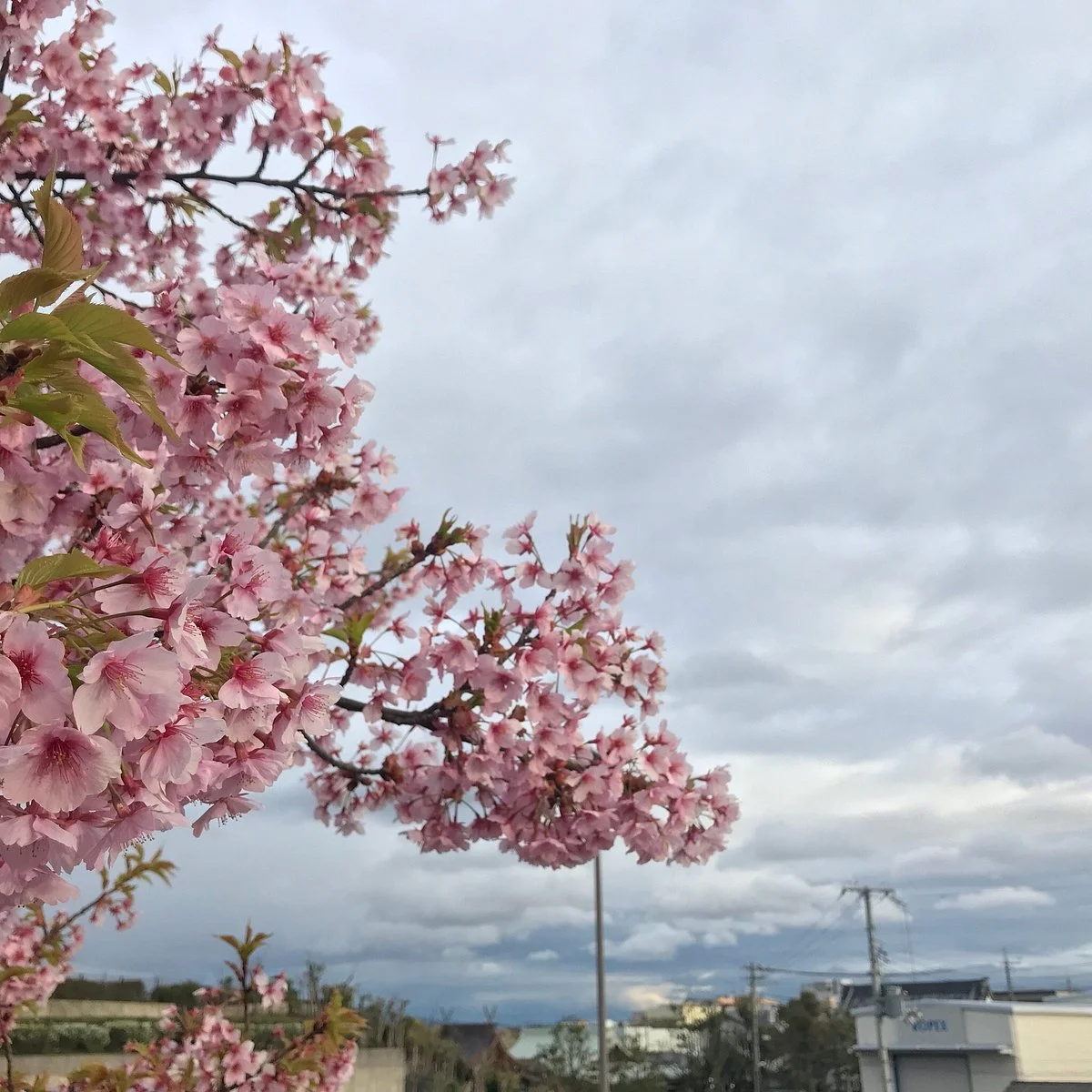 Itami Sky Park