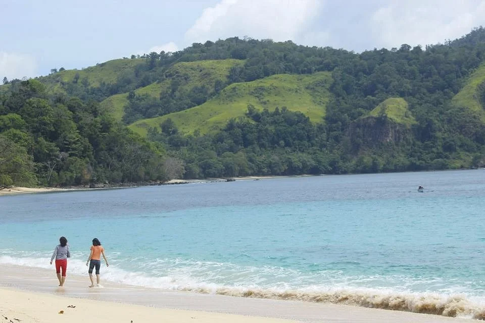 Pal Beach