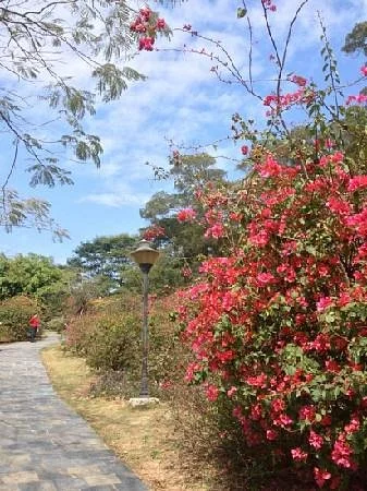 Meihai Mountain