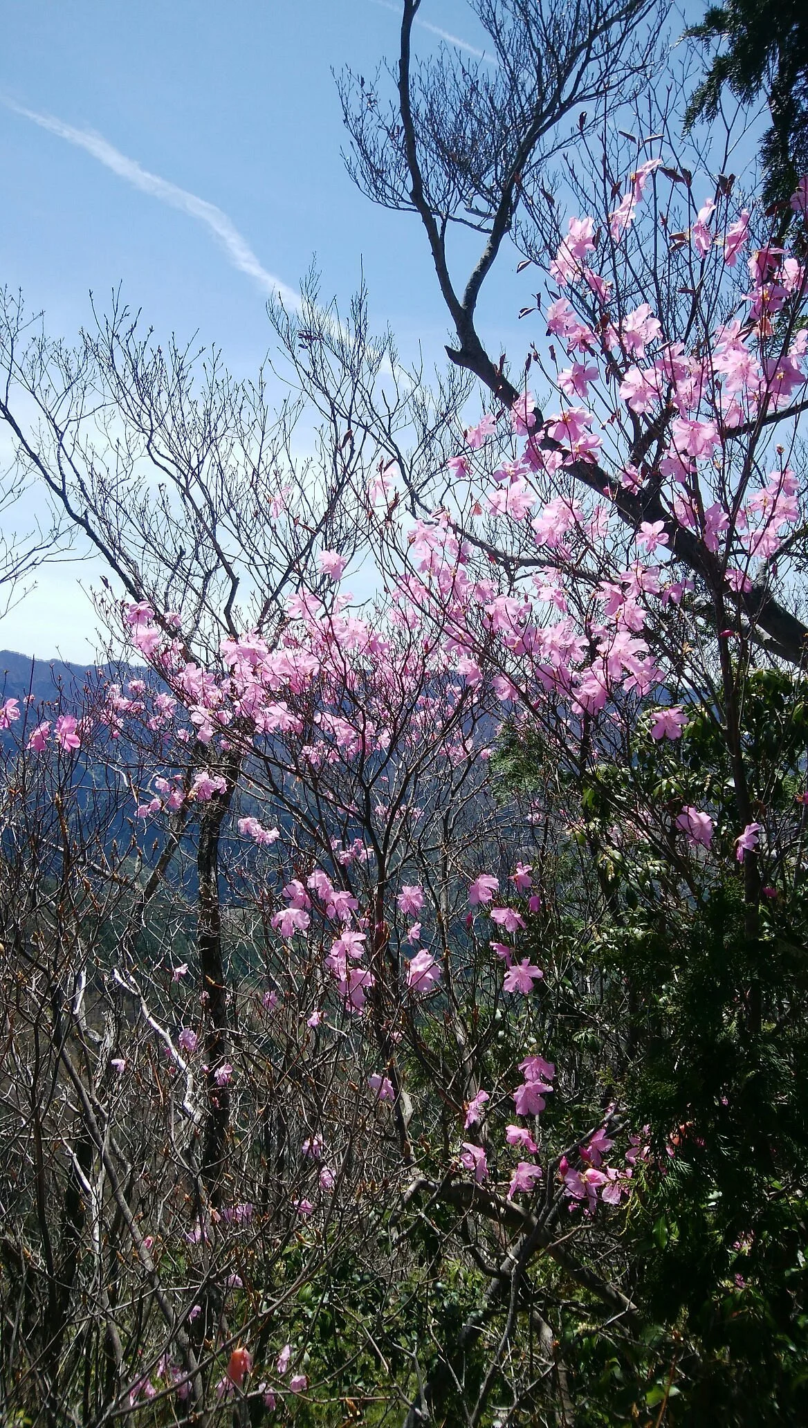 Komochiyama