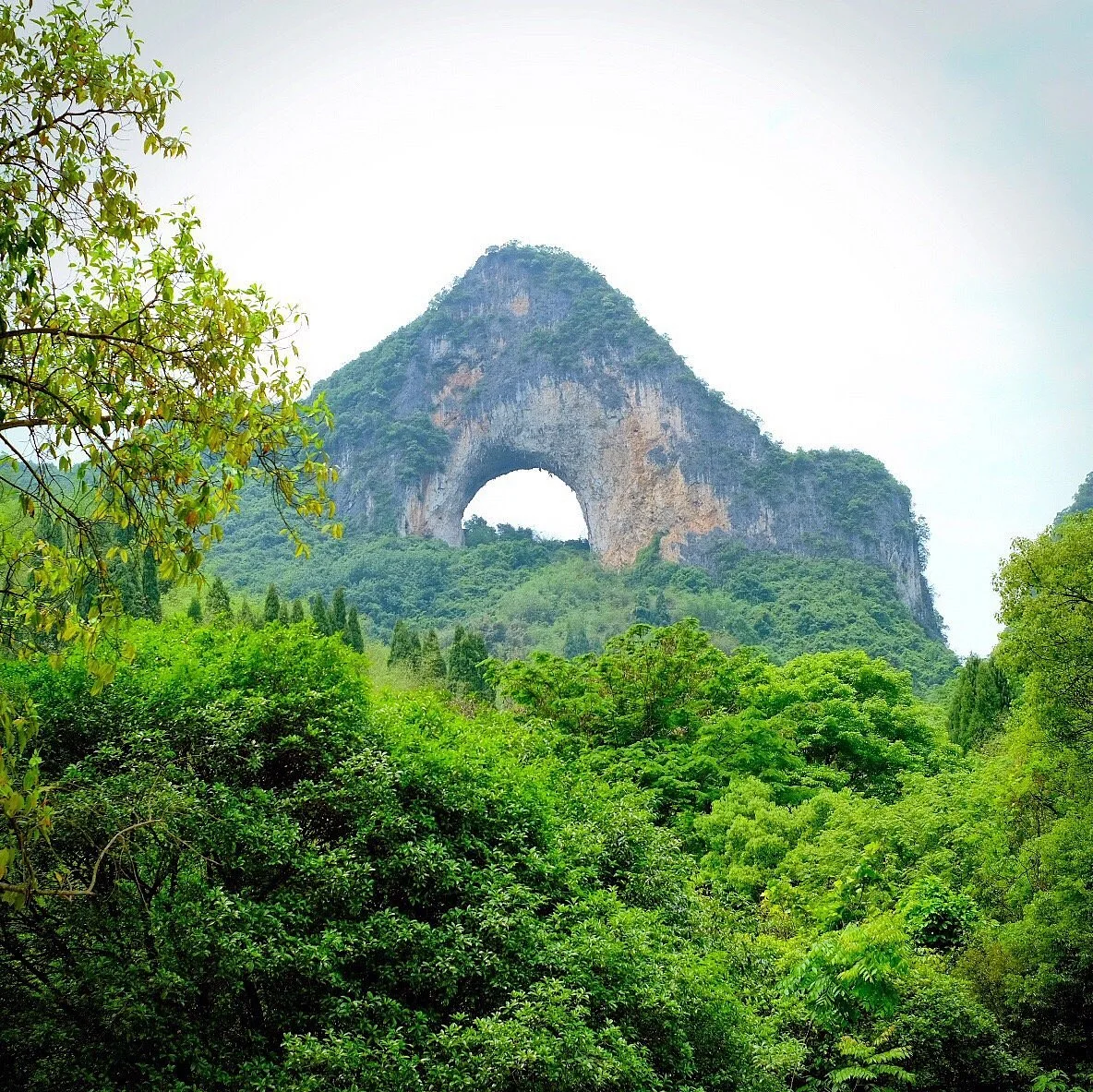 Moon Hill