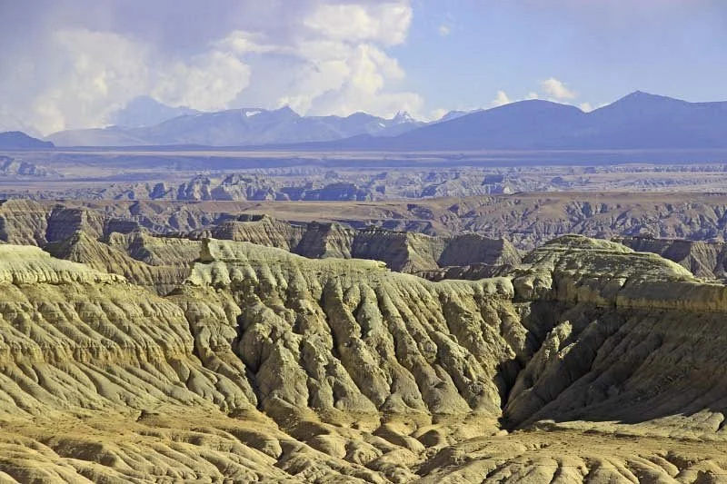 Zhada Earth Forest National Geopark