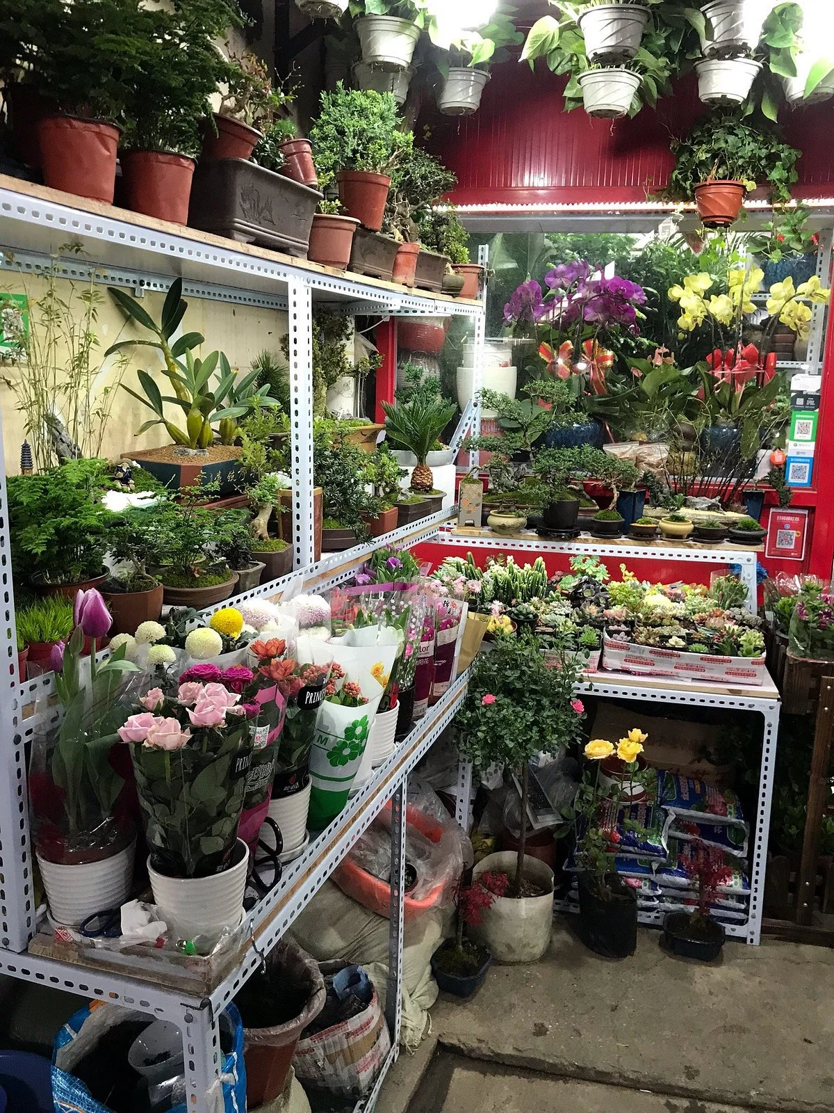 Bird And Flower Market(South Xizang road)