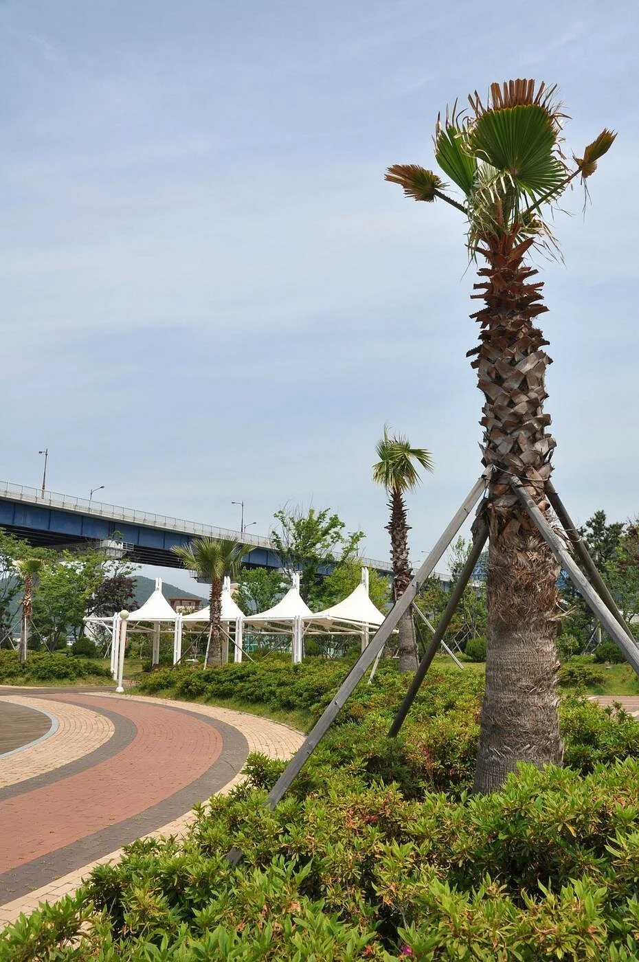 Tongyeong Marine Tourism Park