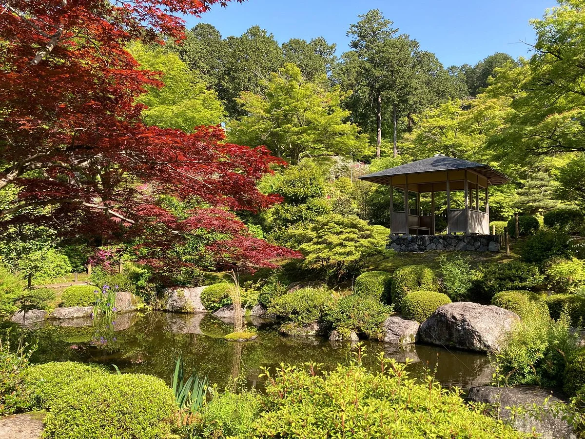 Mimuroto-ji Temple Garden