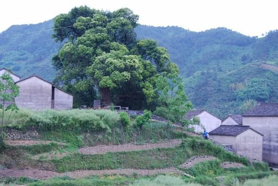 Taijihu Village Scenic Resort