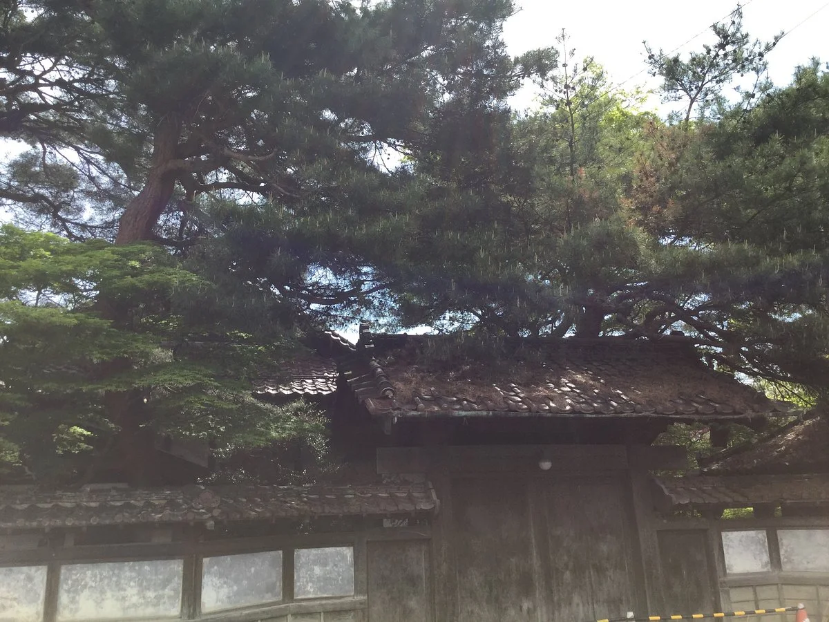 Ota Family Residence