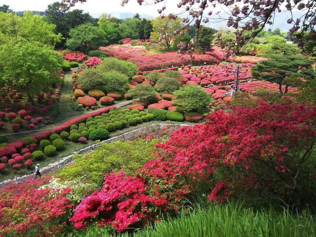 Komuroyama Park