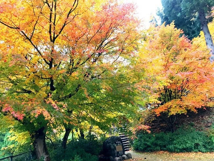 Oshika Valley