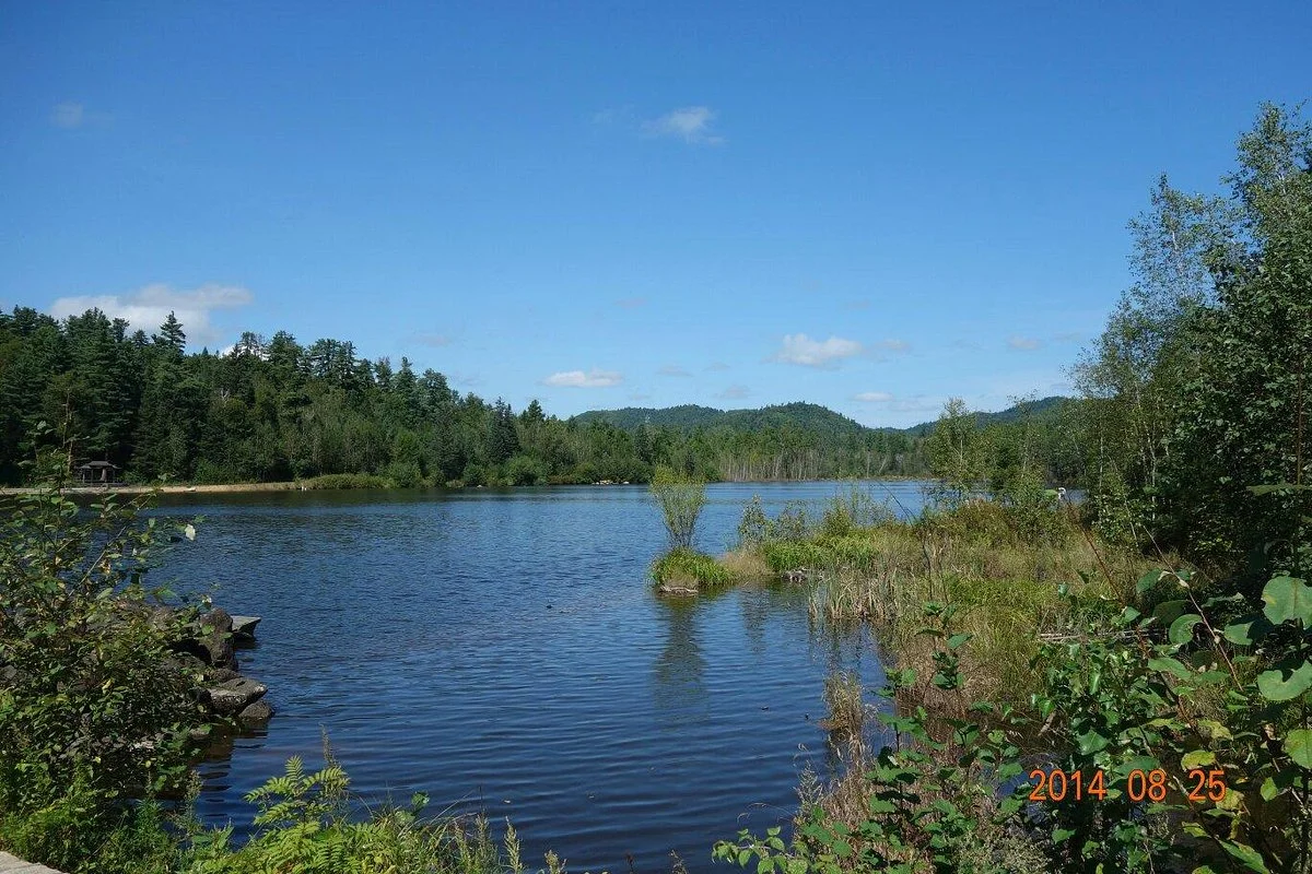 Wuying Forest Park