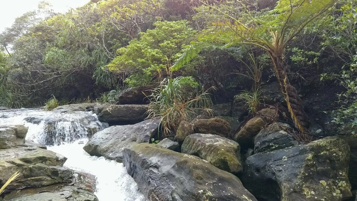 Omija Road Park