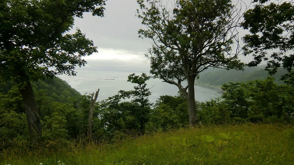 Oshinkosin Observation Deck
