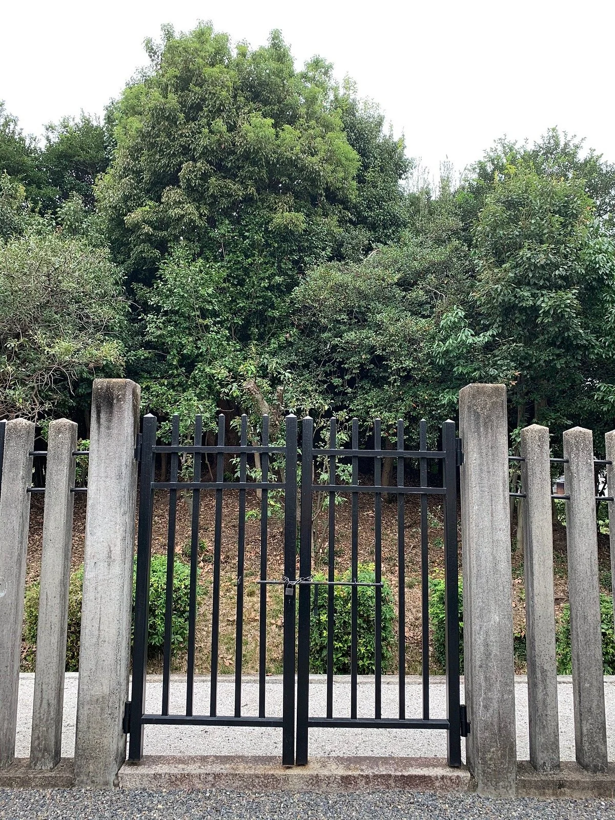 The Emperor Junna Antinent Cremation Tomb