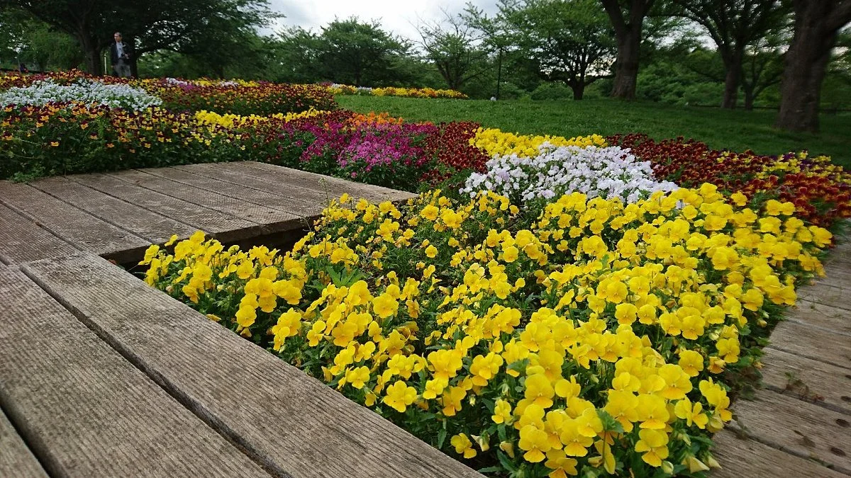 Sakura no yama Park