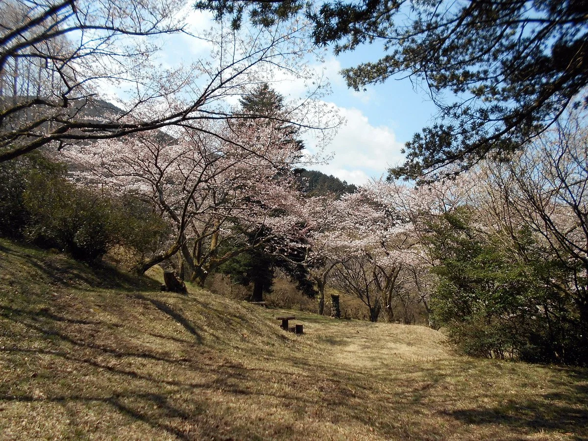 Tanushimaruhirabaru Tomb Park