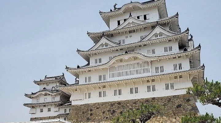 Wanpaku-no Mori