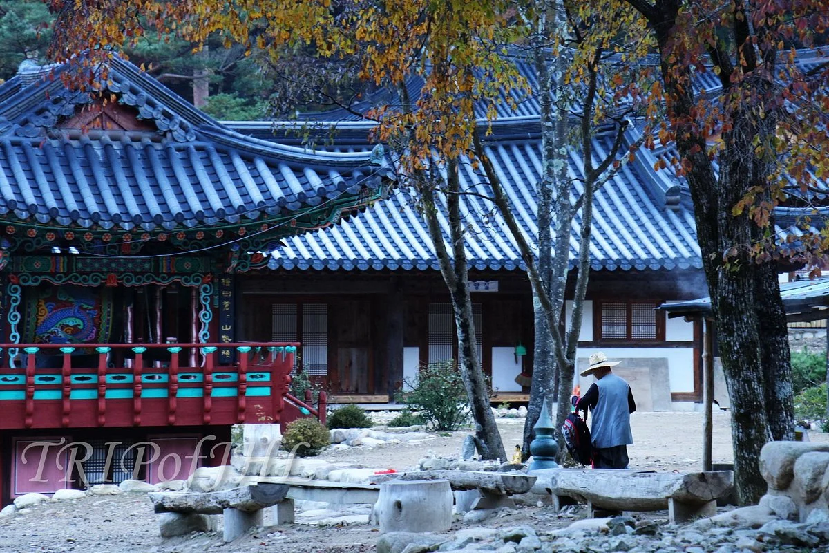 Yeongsiam