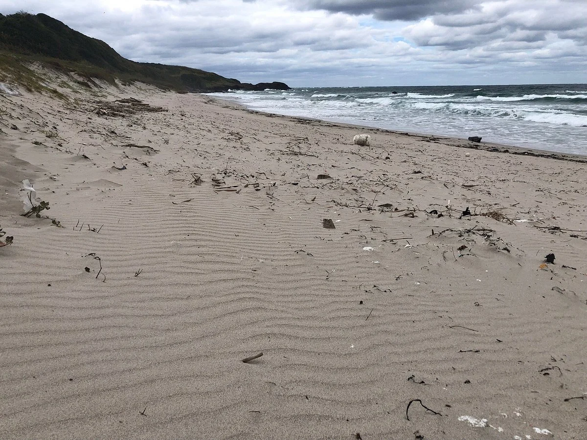 Cobalt Blue Beach