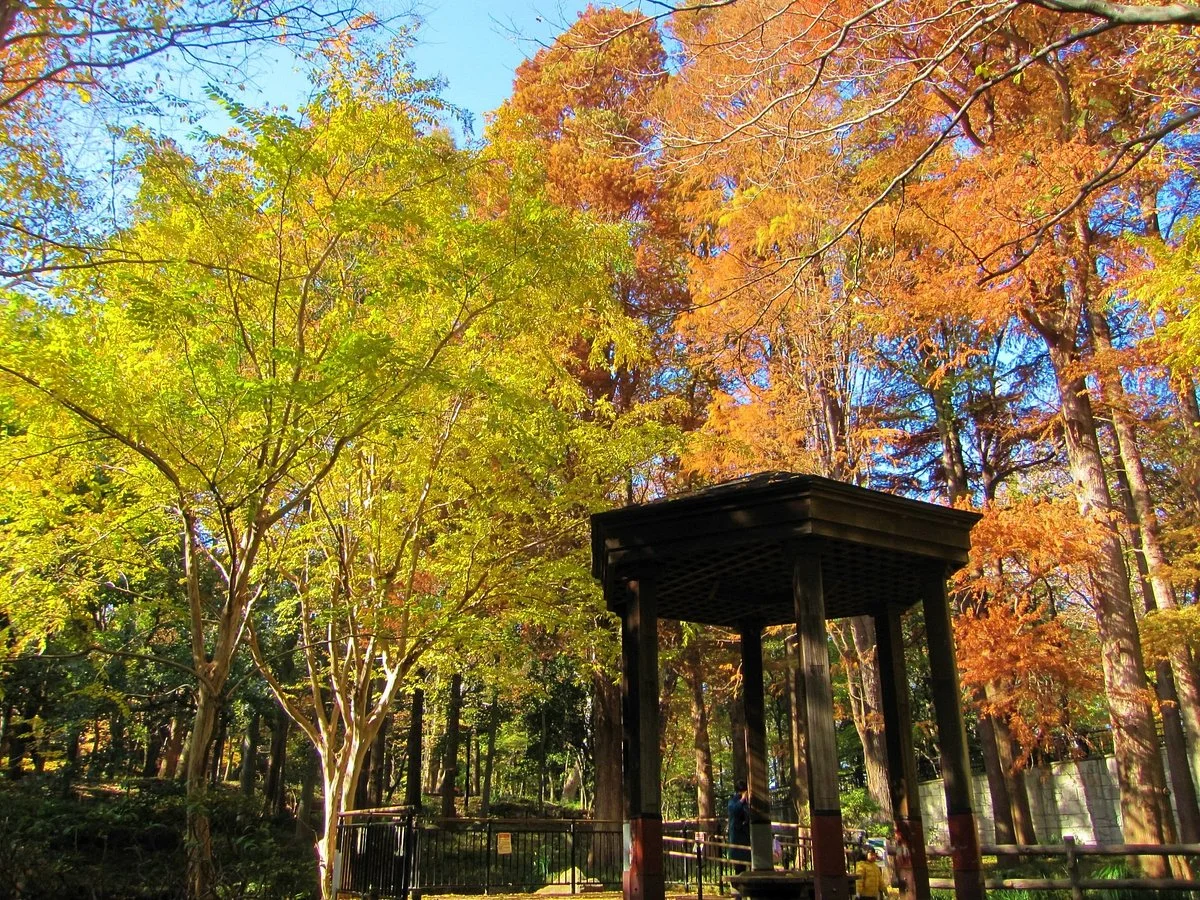 Rinshinomori Park