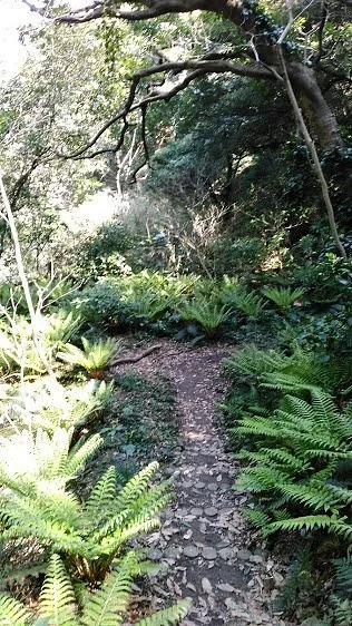 Yokosuka Mabori Nature Study