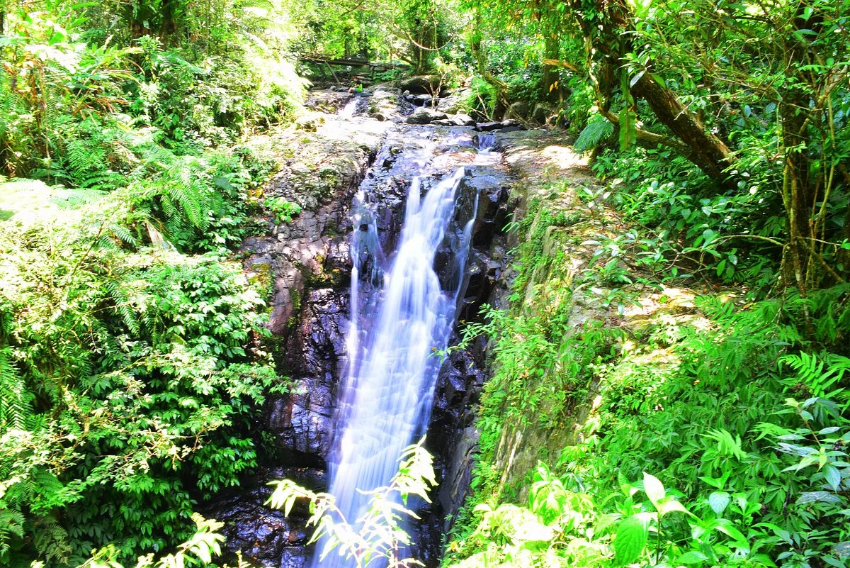Linmei Shipan Trail