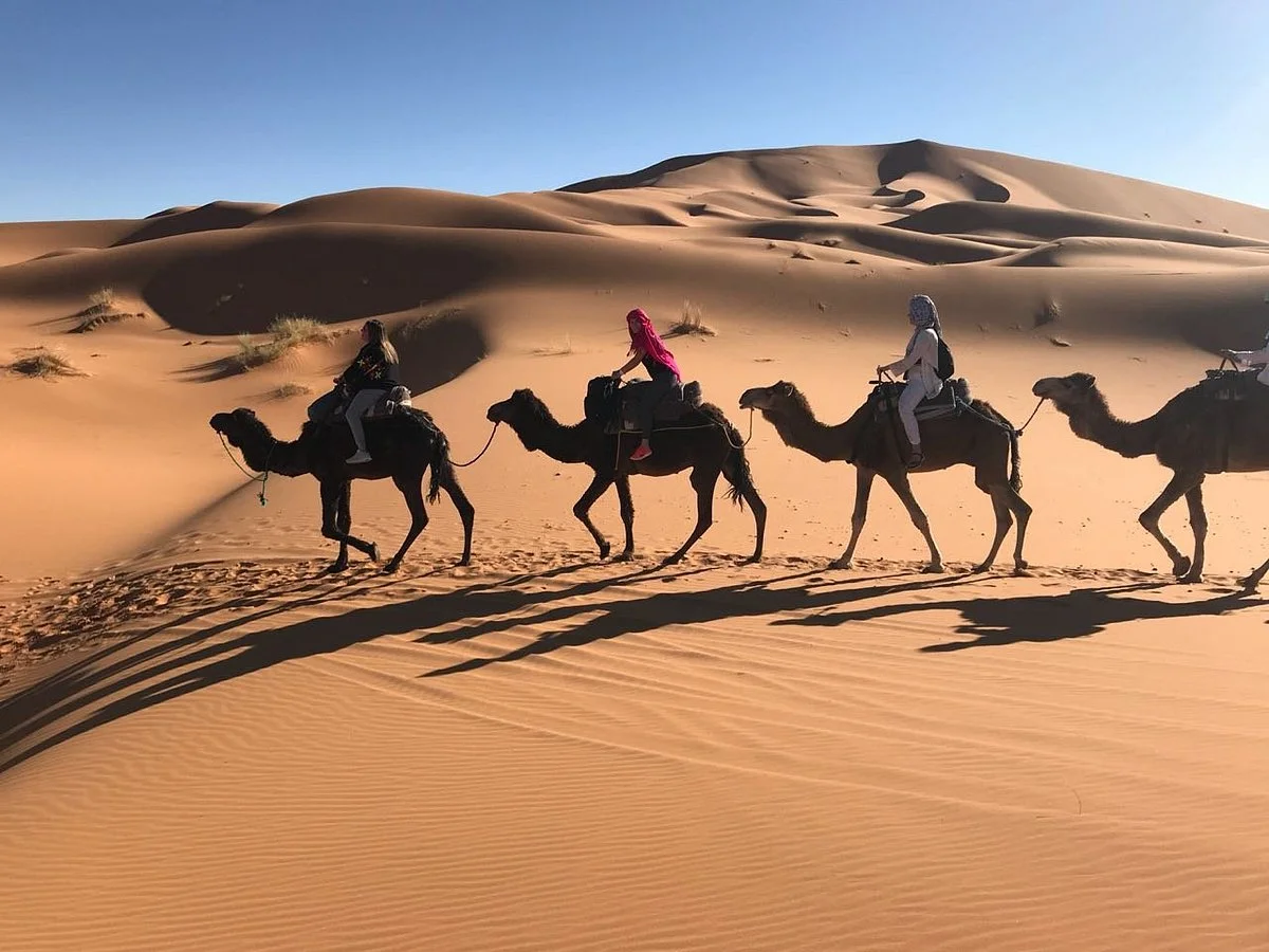 Morocco Berber Dreams