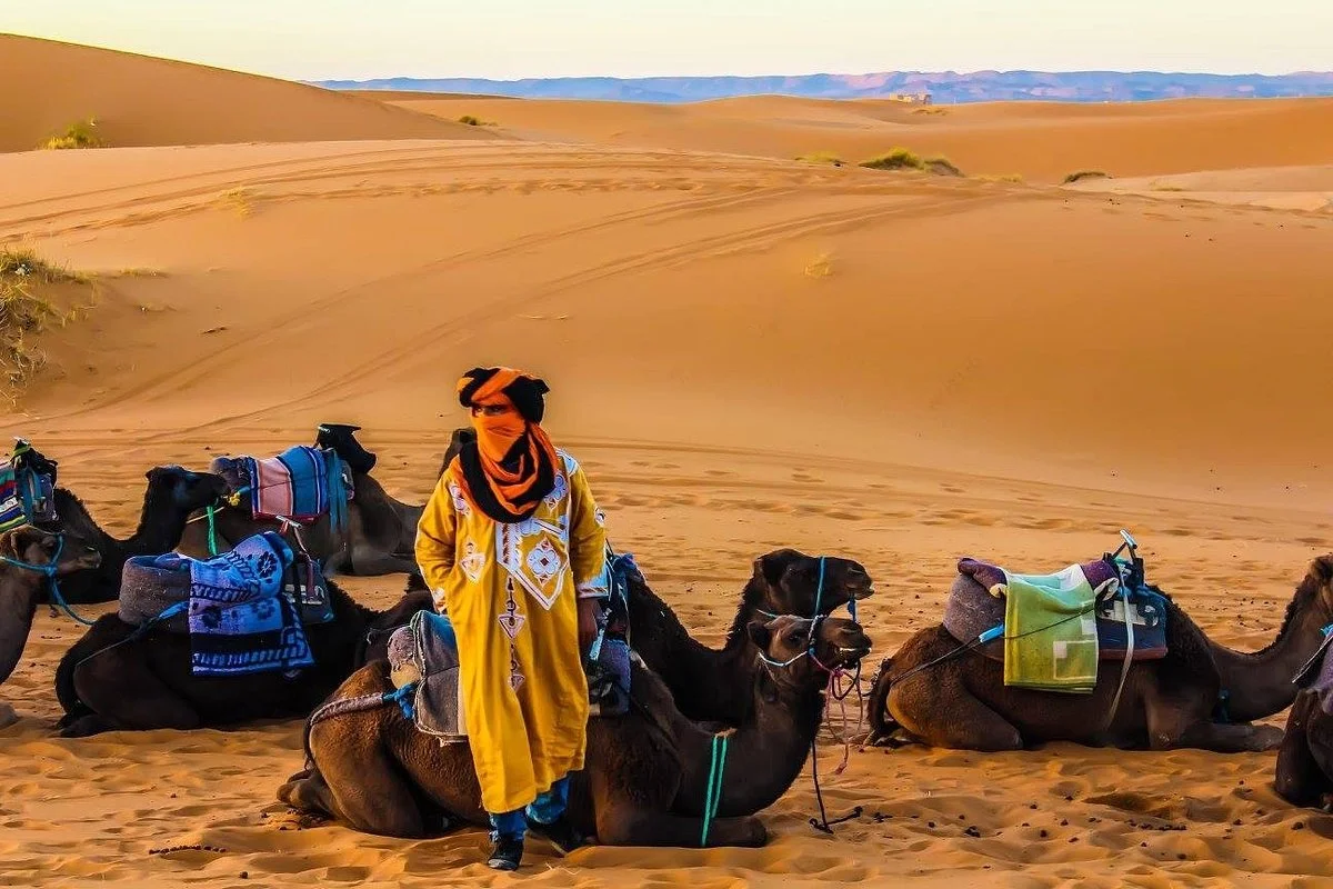 Discover sahara tours