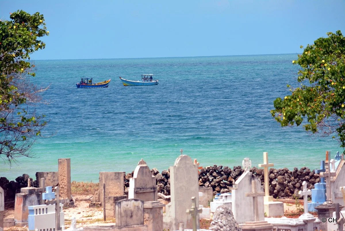 Neduntheevu (Delft Island)