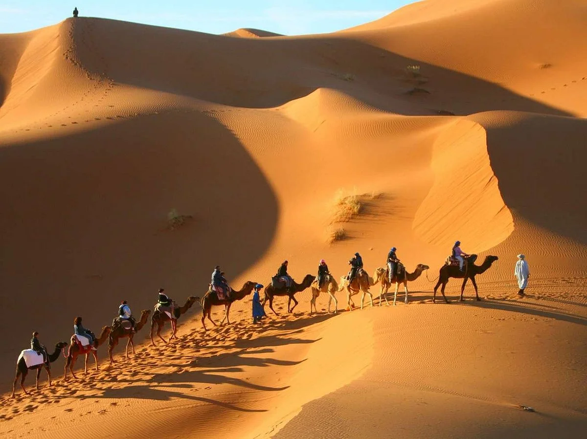 Morocco Daily Tours