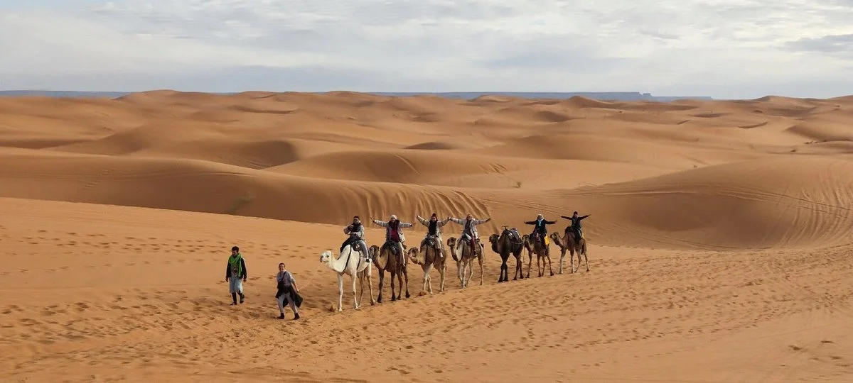 Trail Nomad Tours