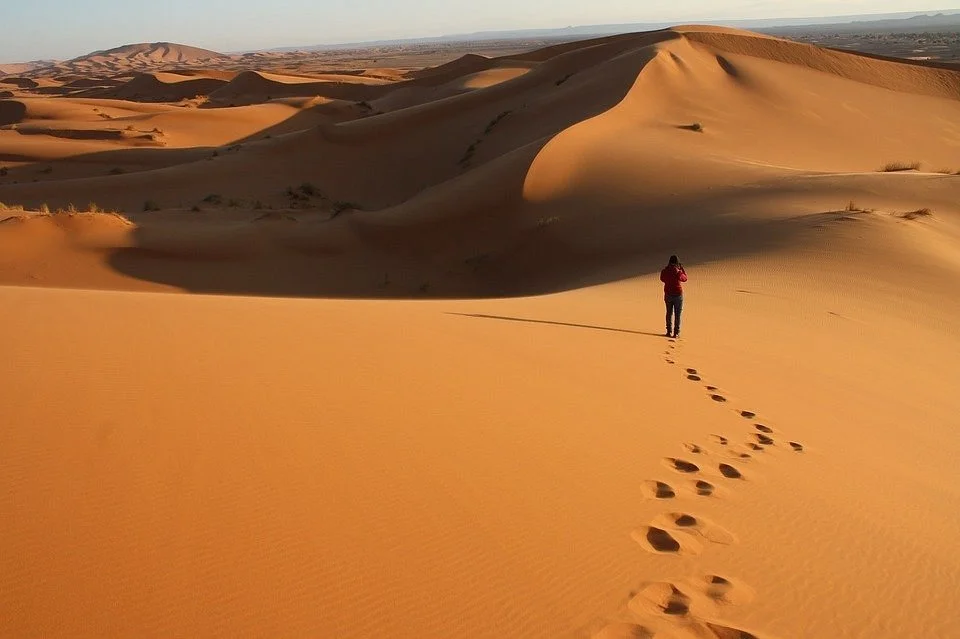 Acacia Voyages