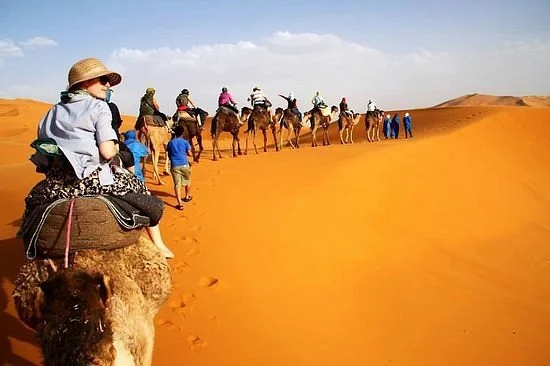 Tilila Travel