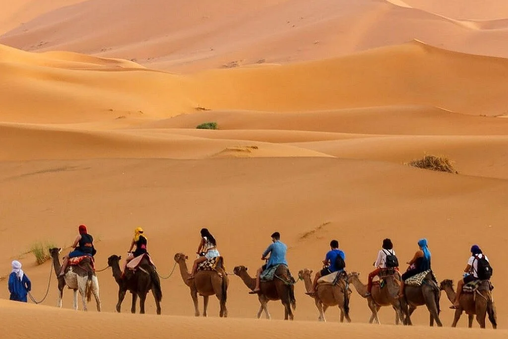 Desert Discovery Tours & Morocco Travels