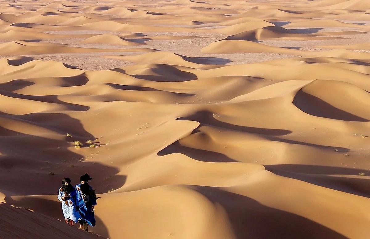 Sahara Steps