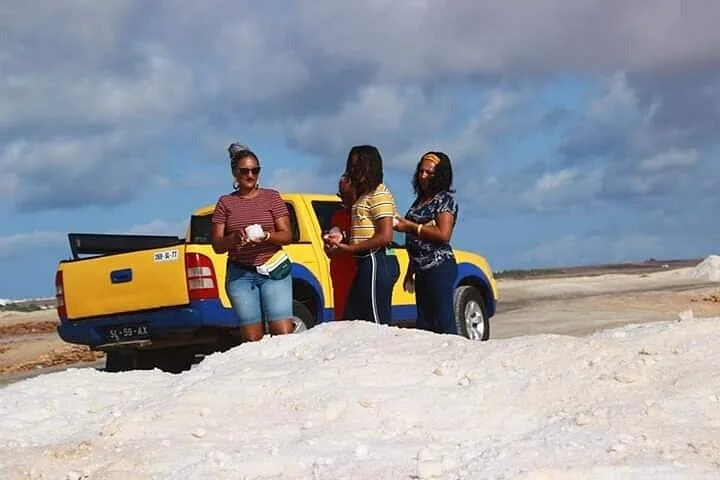 Sal Experience ®, Reis Transporte