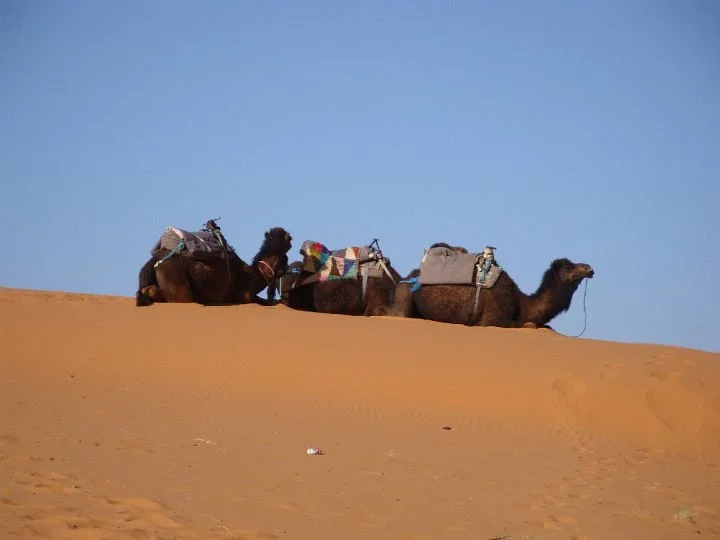 Morocco Sahara 4x4 - Day Tours